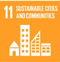 SDG11